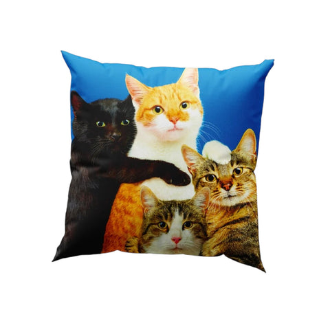 CUSCINO IN PIUMA 50X50 POLYCATS ART. 02354 SELETTI