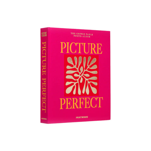 ALBUM PICTURE PERFECT  PW00554 PRINTWORKS PINK