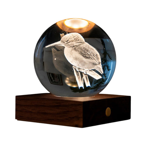 LAMPADA AMBER CRYSTAL LIGHT 3D KINGFISHER BOAT G025KF