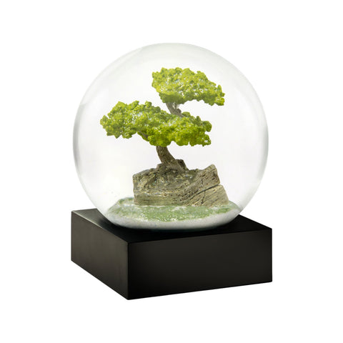 COOL SNOW GLOBE BONSAI TREE CS189