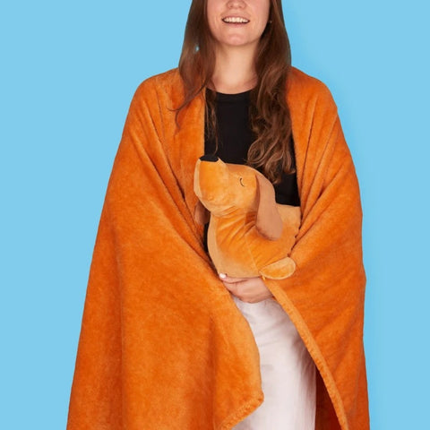 CUSCINO E COPERTA TECKEL MARRONE ART. 28367 BALVI