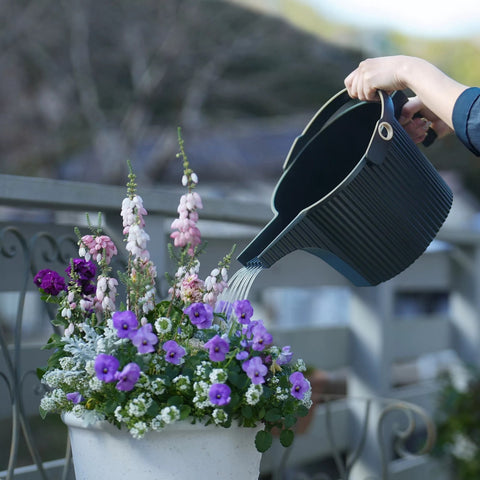 INNAFFIATOIO 5L GARDEN BEETLE WATERING CAN ART. 244776 DARK GREEN HACHIMAN