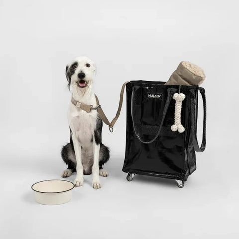 BORSA TROLLEY PER SPESA SMALL 4672991 BLACK HULKEN