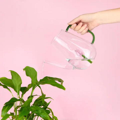 ANNAFFIATOIO BOTANICAL TULIP 28177  BALVI