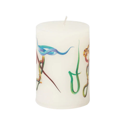 CANDELA GRANDE TOILETPAPER CM 7X7X10 SNAKES ART. 14089 SELETTI