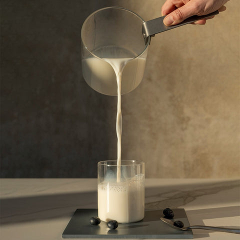 BOLLILATTE THE KETTLE VETRO 12 CM ART. BB10812K KNINDUSTRIE