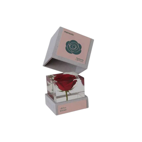 FLOWERCUBE N. 02 ROSE ART. M01-ROS MOMENTO
