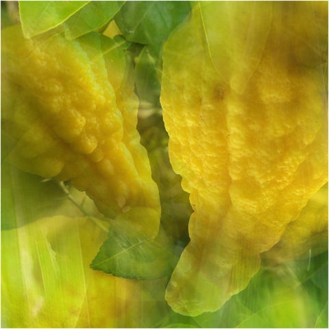 PROFUMAZIONE D'AMBIENTE SPRAY 100ML LIMONE CEDRATO DR. VRANJES