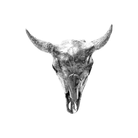 SCULTURA WUNDERKAMMER BISON SKULL 10899 SELETTI GREY