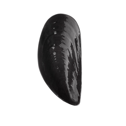 CIOTOLA MARCEL L B9224402-900 BLACK SERAX