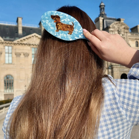 SPAZZOLA HANDPAINTED DACHSHUND AMAZING HAIR DAY BRUSH SOLAR ECLIPASE
