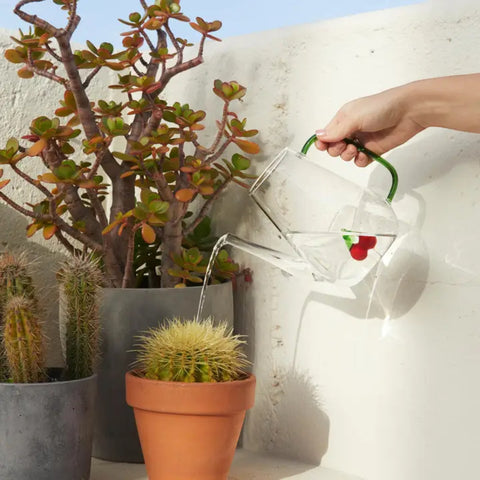 ANNAFFIATOIO BOTANICAL CHERRY 28178  ROSSO  BALVI