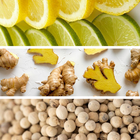 SPRAY FRAGRANZA AMBIENTE GINGER LIME 100 ML DR VRANJES