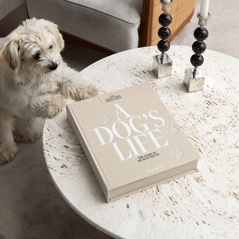 ALBUM A DOG'S LIFE ART. PW00621 PRINTWORKS BROWN