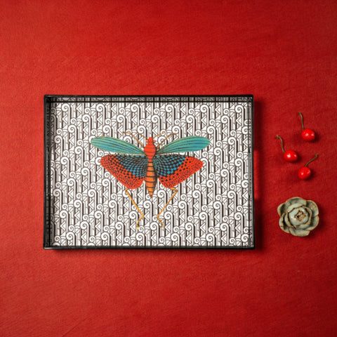 VASSOIO INSECT 2 PLATEAU LAQUE' RECTANGLE 40X30 BLUE SHAKER