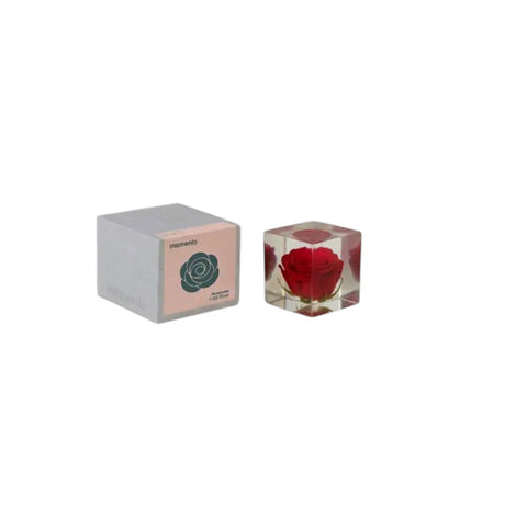 FLOWERCUBE N. 02 ROSE ART. M01-ROS MOMENTO