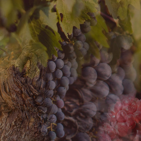 REFILL FRAGRANZA COLLEZIONE 500 ML ROSSO NOBILE DR. VRANJES