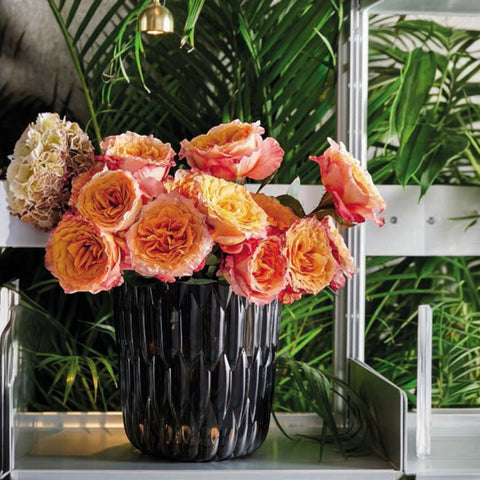 VASE KARTELL JELLY SMOKED ART 1227 V9