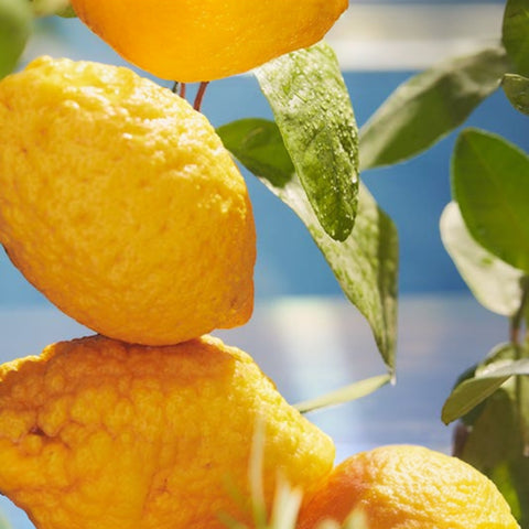 PROFUMAZIONE D'AMBIENTE SPRAY 100ML LIMONE CEDRATO DR. VRANJES