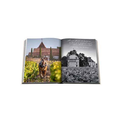 ASSOULINE WINE & TRAVEL FRANCE