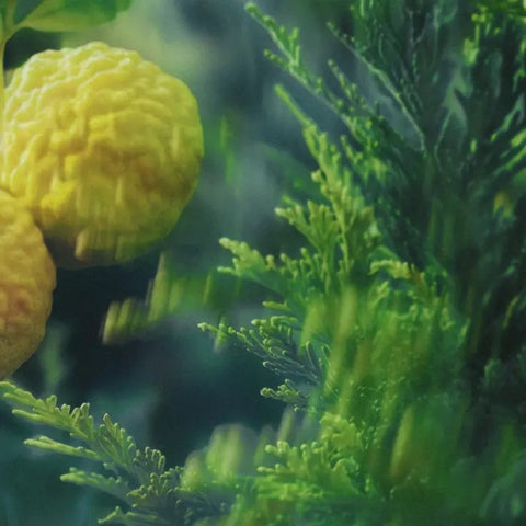 EAU DE PARFUM CAPOGIRO 40 ML VRANJES FIRENZE