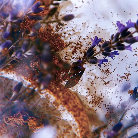 EAU DE PARFUM CHIAROSCURO 40 ML VRANJES FIRENZE