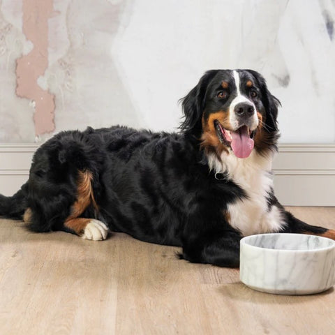 CIOTOLA LABILLA GEMS LARGE ONE H 10 CM ONE G005_BC MARMO CARRARA STATUARIO