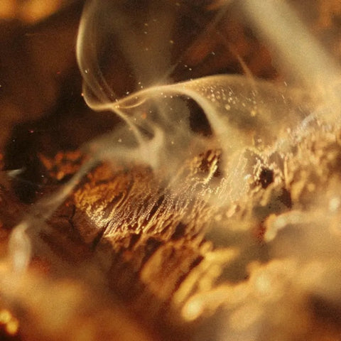 EAU DE PARFUM INTRIGO 40 ML VRANJES FIRENZE