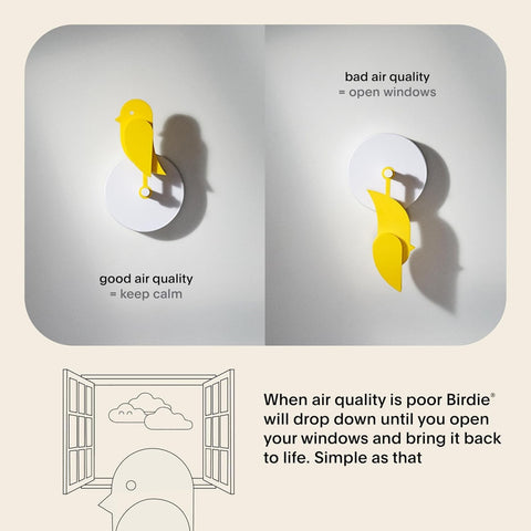 MISURATORE QUALITÀ DELL’ARIA CA1-100 FRESH AIR MONITOR YELLOW BIRDIE