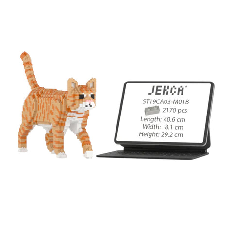 COSTRUZIONI GINGER WALK CAT 03S-M01 JEKCA