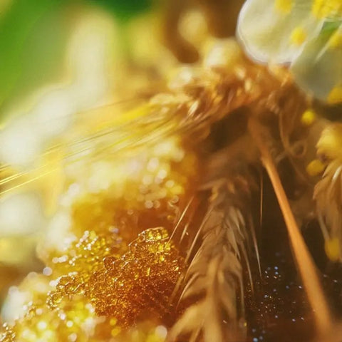 EAU DE PARFUM MERIGGIARE 40 ML VRANJES