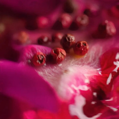 EAU DE PARFUM PETALOSO 100 ML VRANJES FIRENZE