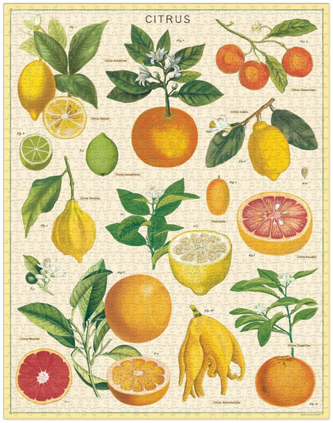 VINTAGE PUZZLE CAVALLINI & CO 1000 PZ 55X70 CITRUS PZL/CITRUS