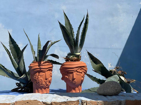 VASO IN TERRACOTTA WOMAN SELETTI CM 25X23 H 33 ART 11507