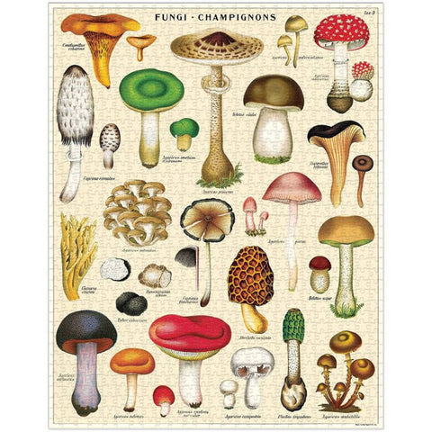 VINTAGE PUZZLE CAVALLINI & CO 1000 PZ 55X70 MOSHROOMS  PZL/MUSH