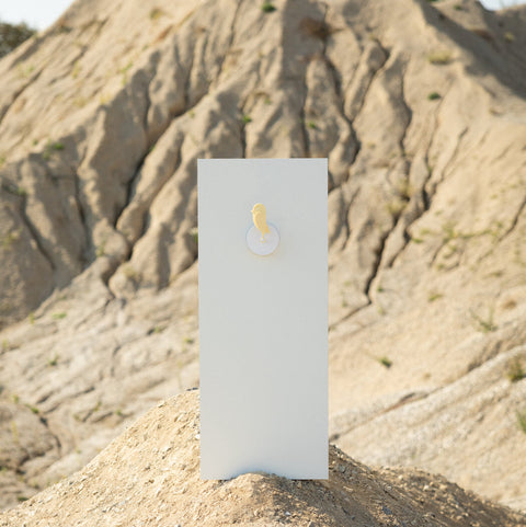 BIRDIE 2.0 FRESH AIR MONITOR BI-M-B-2 DUNE