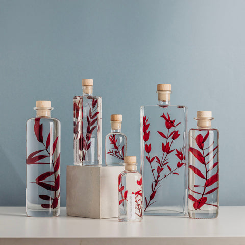 HERBARIUM H 21 CM EUCALYPTUS PARVIFOLIA RED CYLINDER THEOPHILE BERTHON RED