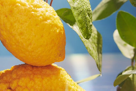 PROFUMAZIONE AMBIENTE 1250 ML LIMONE CEDRATO DR. VRANJES