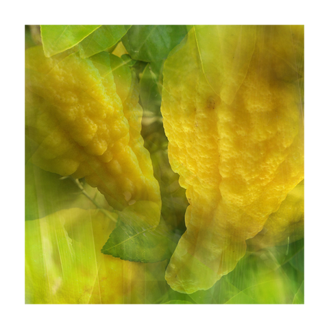 PROFUMAZIONE AMBIENTE 1250 ML LIMONE CEDRATO DR. VRANJES