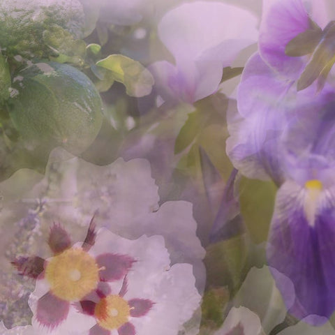 DR. VRANJES AMBIENT PERFUME SPRY 100 ML giglio florence