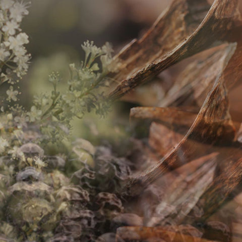 DR. VRANJES AMBIENT FRAGRANCE MILAN COLLECTION 1250 ML