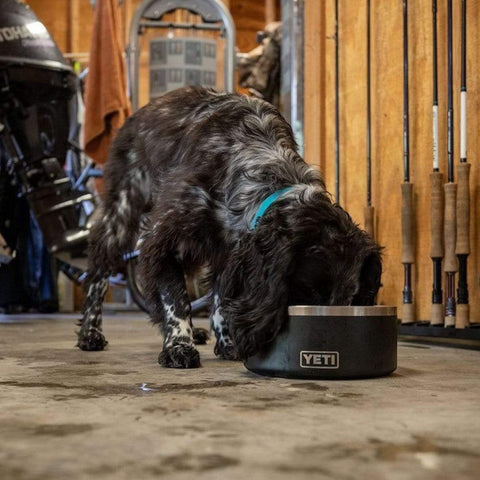 BOOMER DOG BOWL BLACK YETI