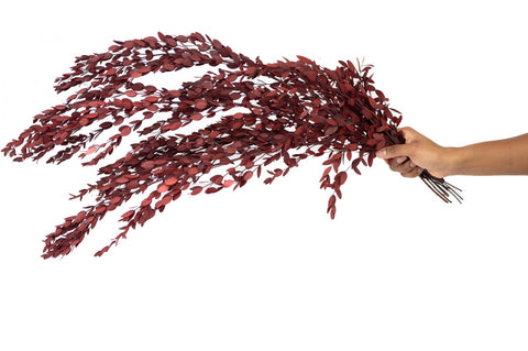 HERBARIUM H 21 CM EUCALYPTUS PARVIFOLIA RED CYLINDER THEOPHILE BERTHON RED