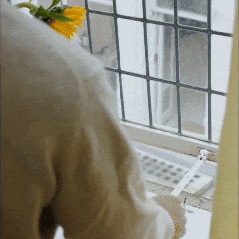 BIRDIE 2.0 FRESH AIR MONITOR BI-M-B-2 WOOD