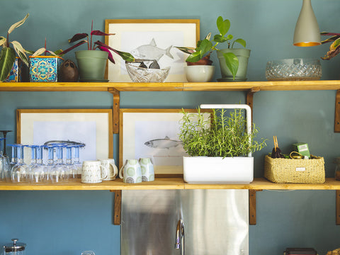 CLICK & GROW SMART GARDEN 3 WHITE