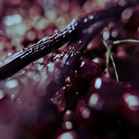 EAU DE PARFUM NOTTETEMPO 100 ML VRANJES FIRENZE