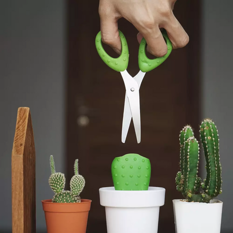 CACTUS SCISSORS WHITE GREEN COMPLIMENTARY QUALY ART. QL10282