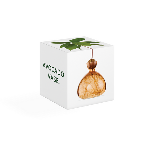 ILEX STUDIO VASI AVOCADO SWEET APRICOT ART. 003-11