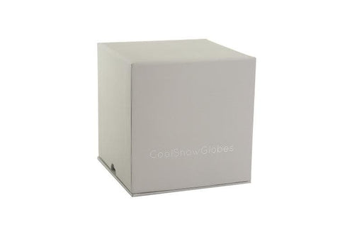 COOL SNOW GLOBE CAT ON BOOKS ART CS290-CATB