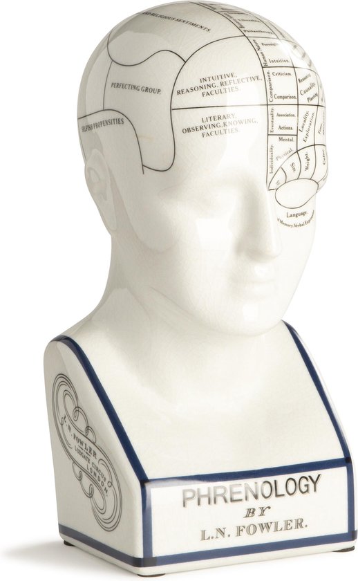 The phrenology good head authentic model